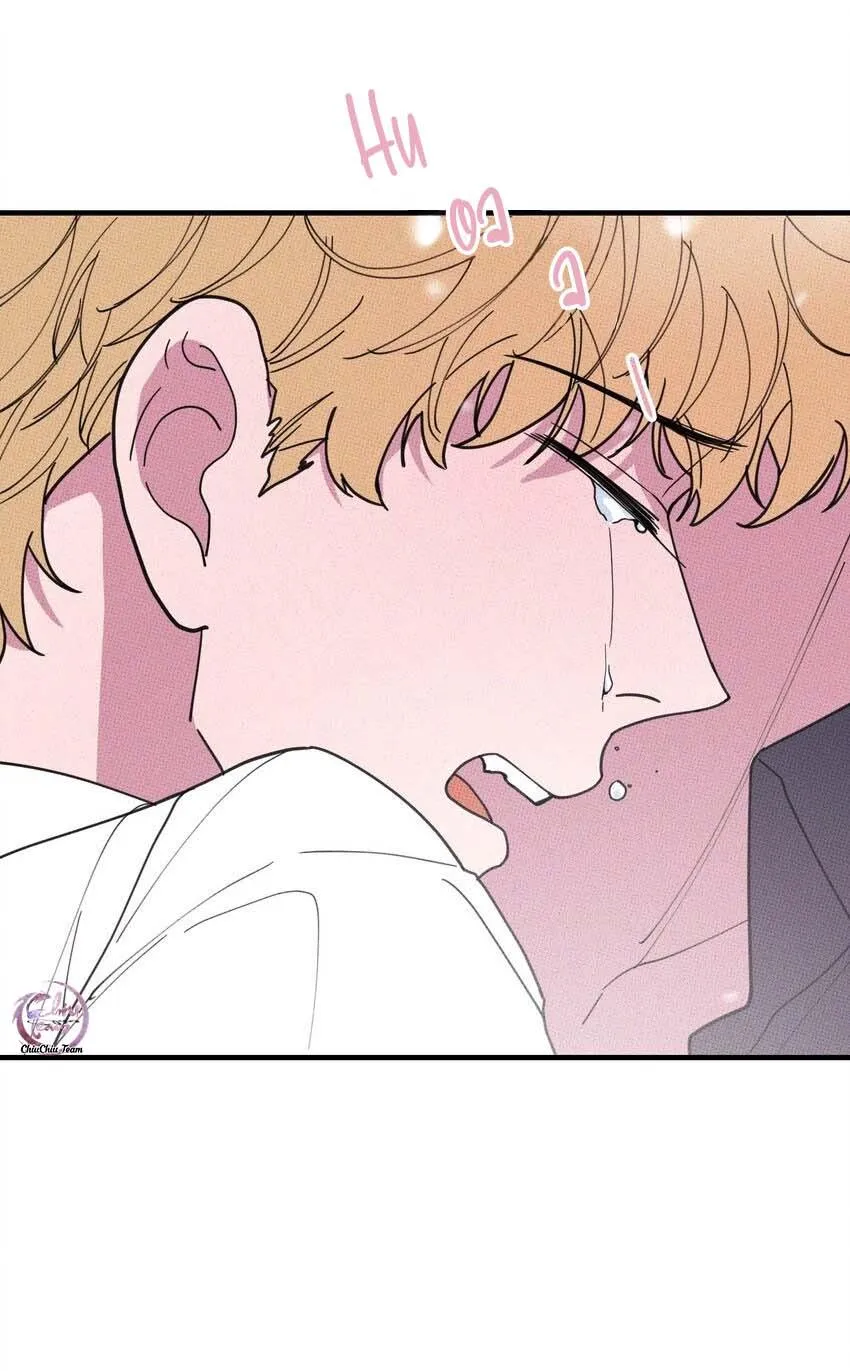 Hộp Bánh Quy Định Mệnh (END) Chapter 37 Trang 7