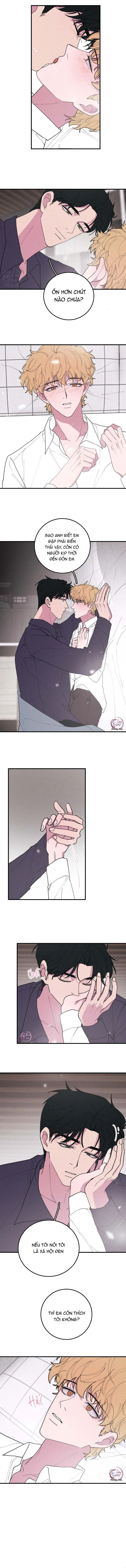 Hộp Bánh Quy Định Mệnh (END) Chapter 37 Trang 9