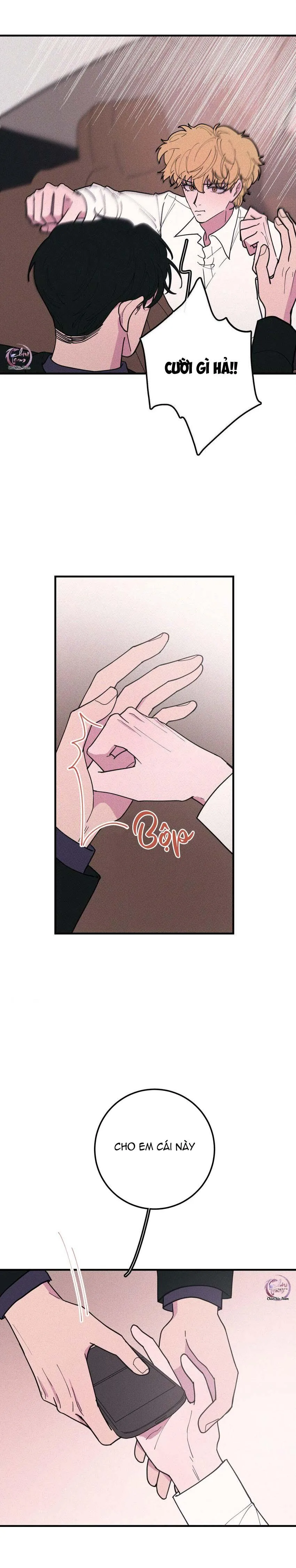 Hộp Bánh Quy Định Mệnh (END) Chapter 40 Trang 5