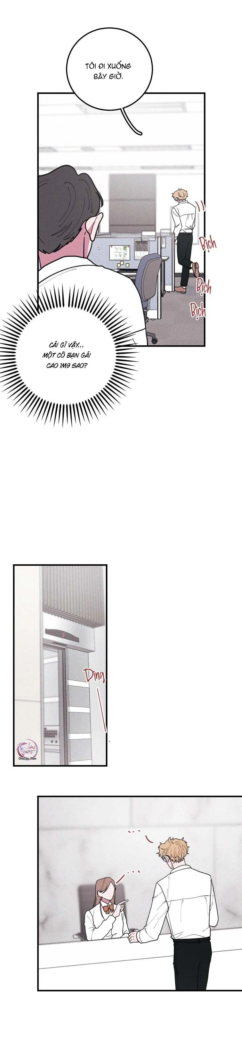 Hộp Bánh Quy Định Mệnh (END) Chapter 45 Trang 6