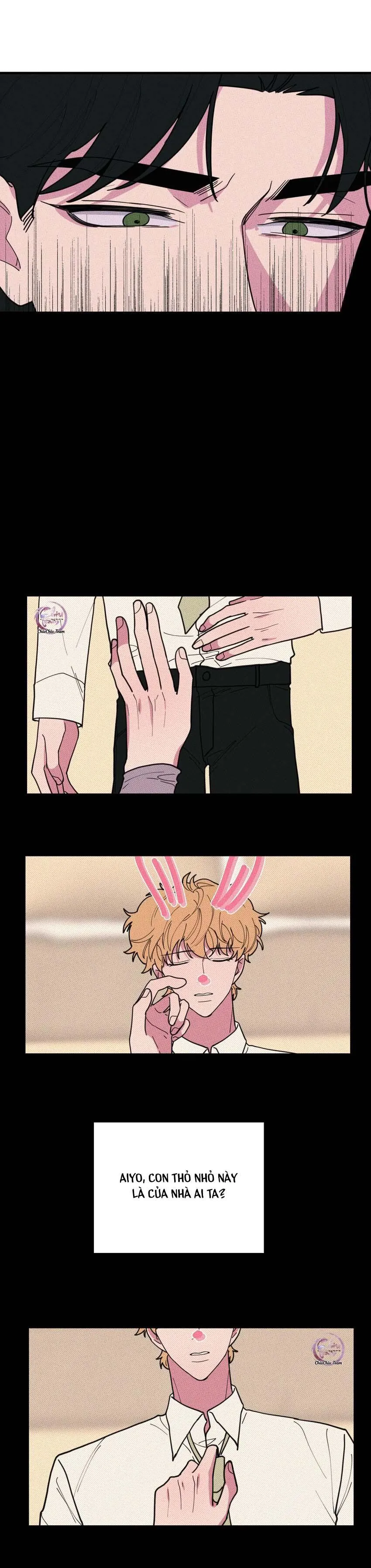 Hộp Bánh Quy Định Mệnh (END) Chapter 45 Trang 13