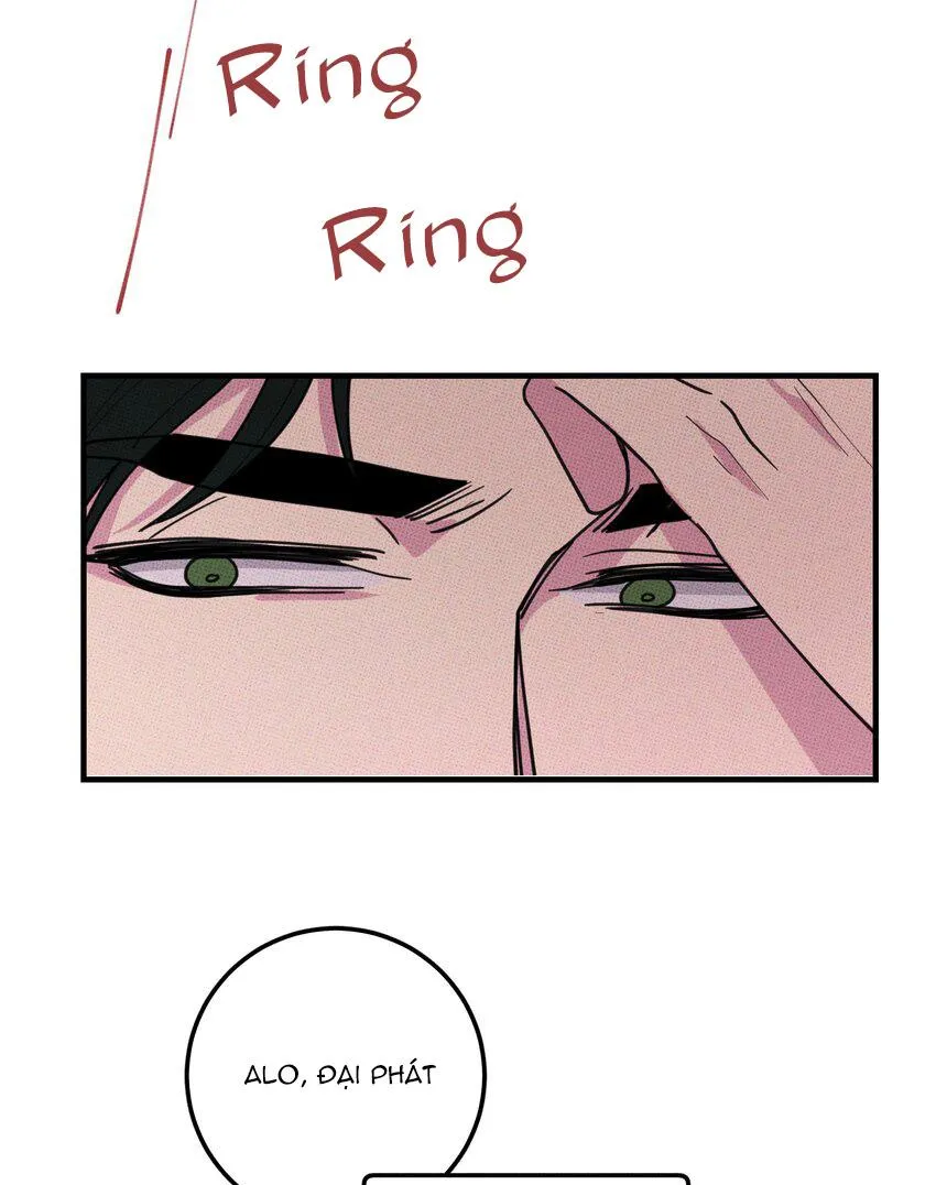 Hộp Bánh Quy Định Mệnh (END) Chapter 46 Trang 4