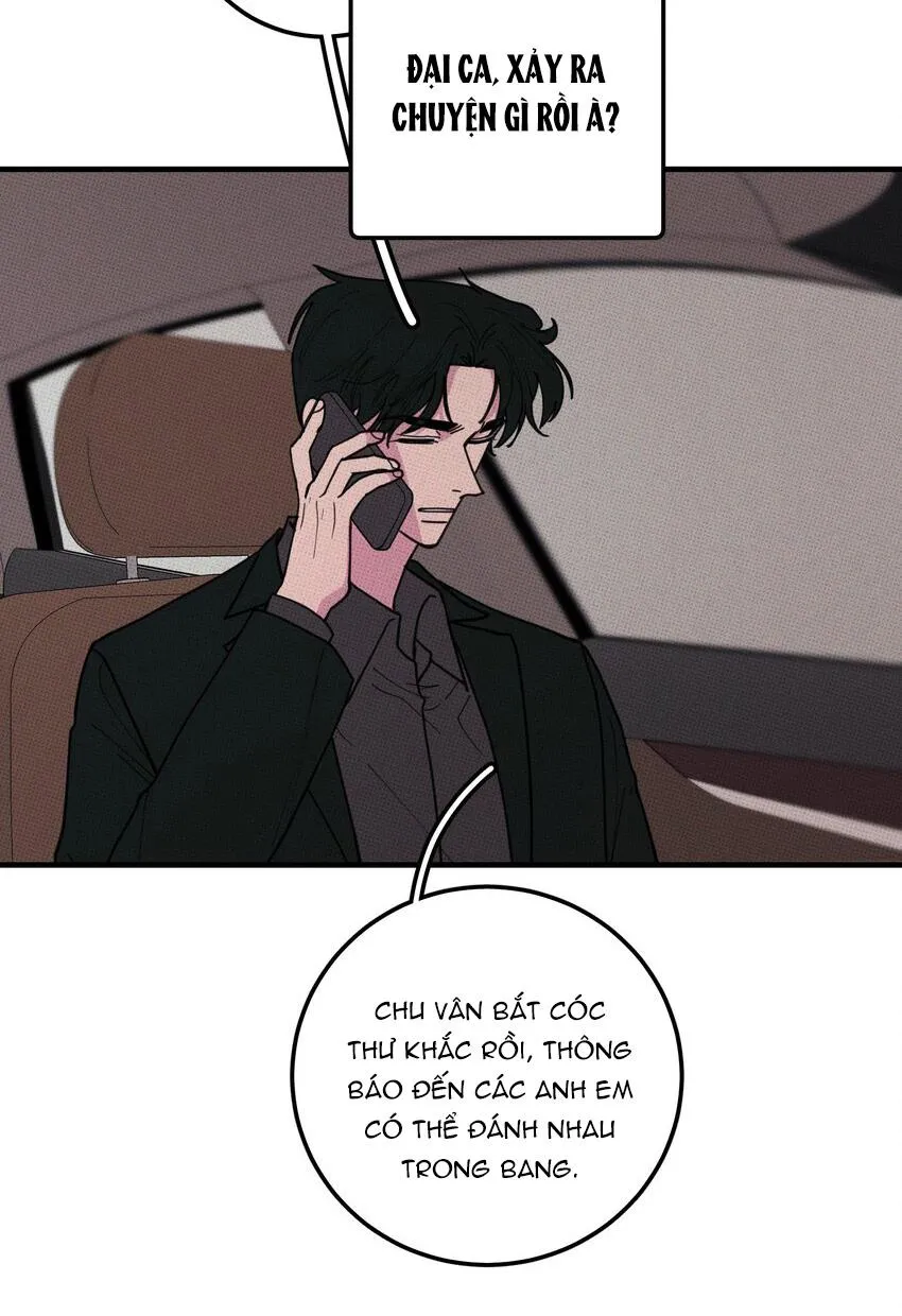 Hộp Bánh Quy Định Mệnh (END) Chapter 46 Trang 5