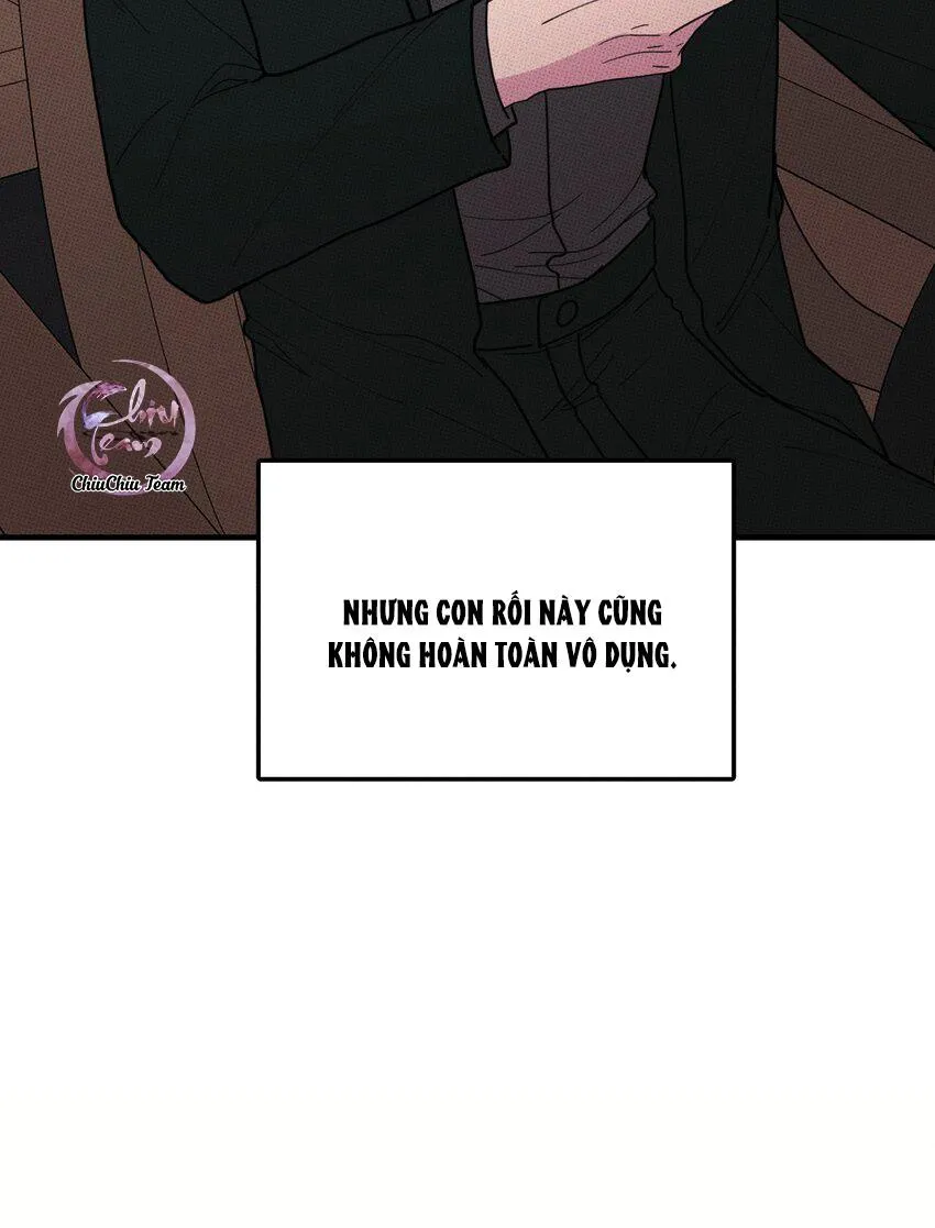 Hộp Bánh Quy Định Mệnh (END) Chapter 46 Trang 12