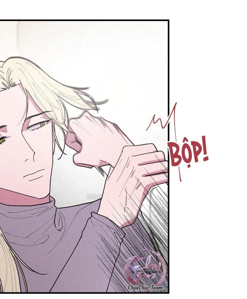 Hộp Bánh Quy Định Mệnh (END) Chapter 46 Trang 33