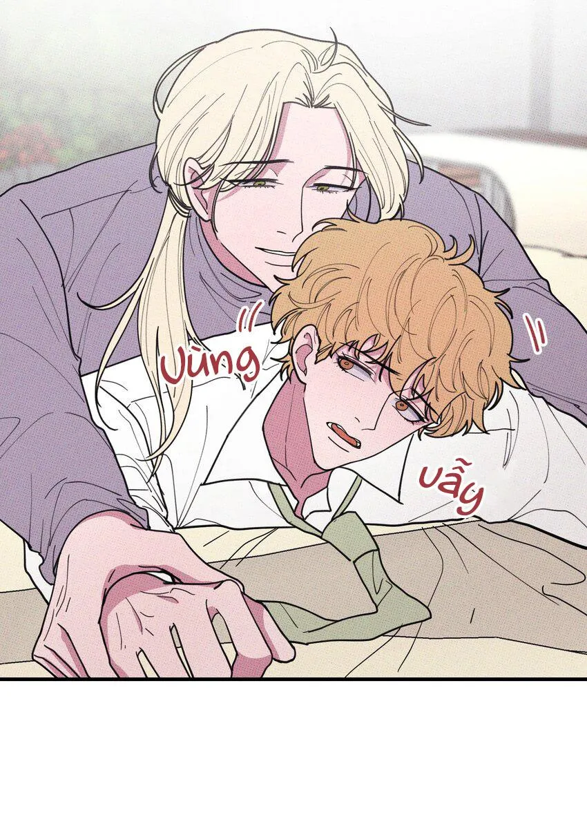 Hộp Bánh Quy Định Mệnh (END) Chapter 46 Trang 35