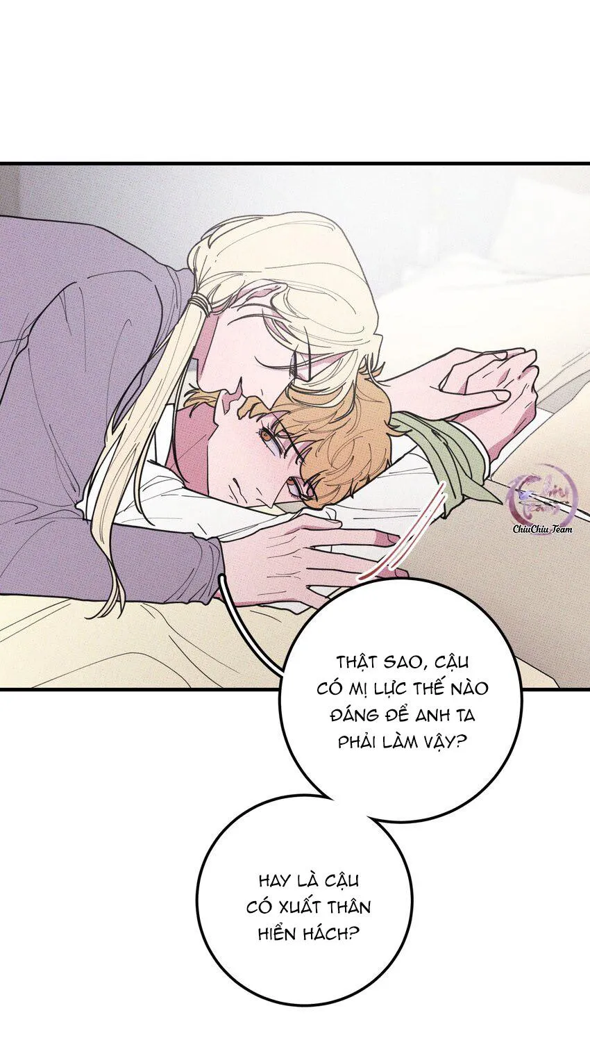 Hộp Bánh Quy Định Mệnh (END) Chapter 46 Trang 38