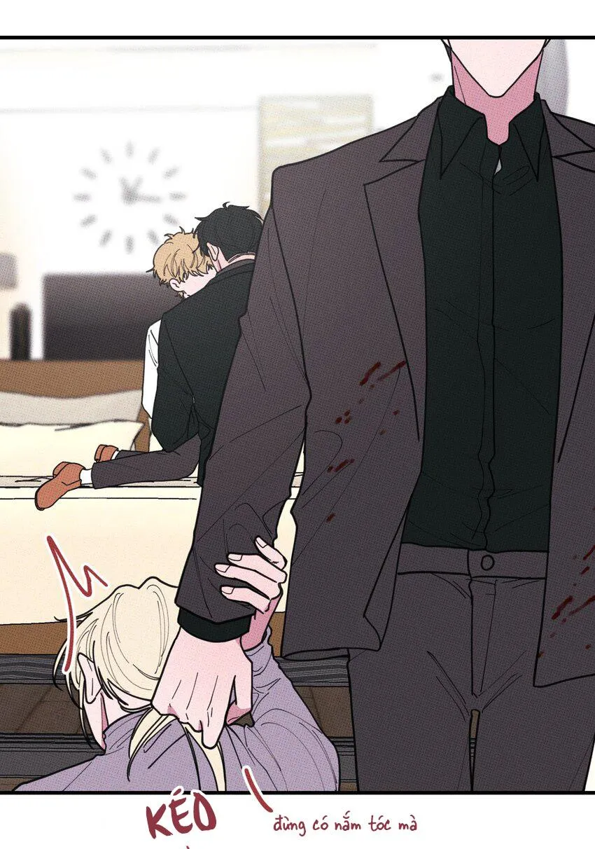 Hộp Bánh Quy Định Mệnh (END) Chapter 47 Trang 7