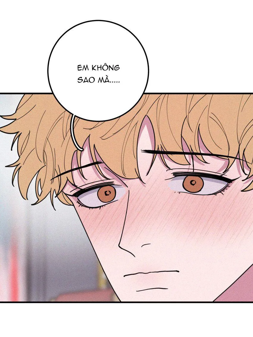 Hộp Bánh Quy Định Mệnh (END) Chapter 47 Trang 15