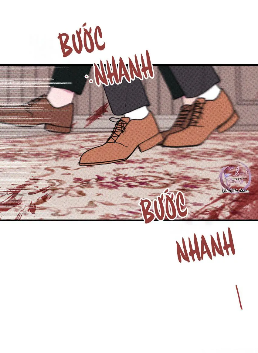 Hộp Bánh Quy Định Mệnh (END) Chapter 47 Trang 19