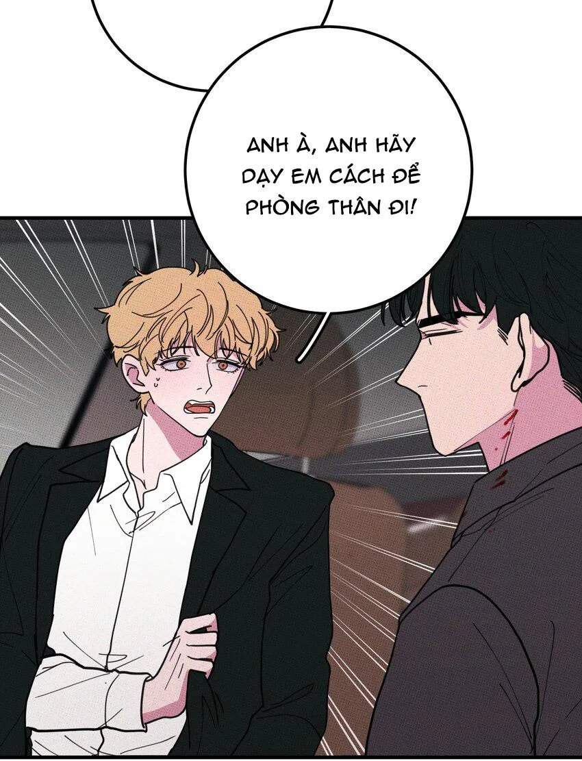 Hộp Bánh Quy Định Mệnh (END) Chapter 47 Trang 30