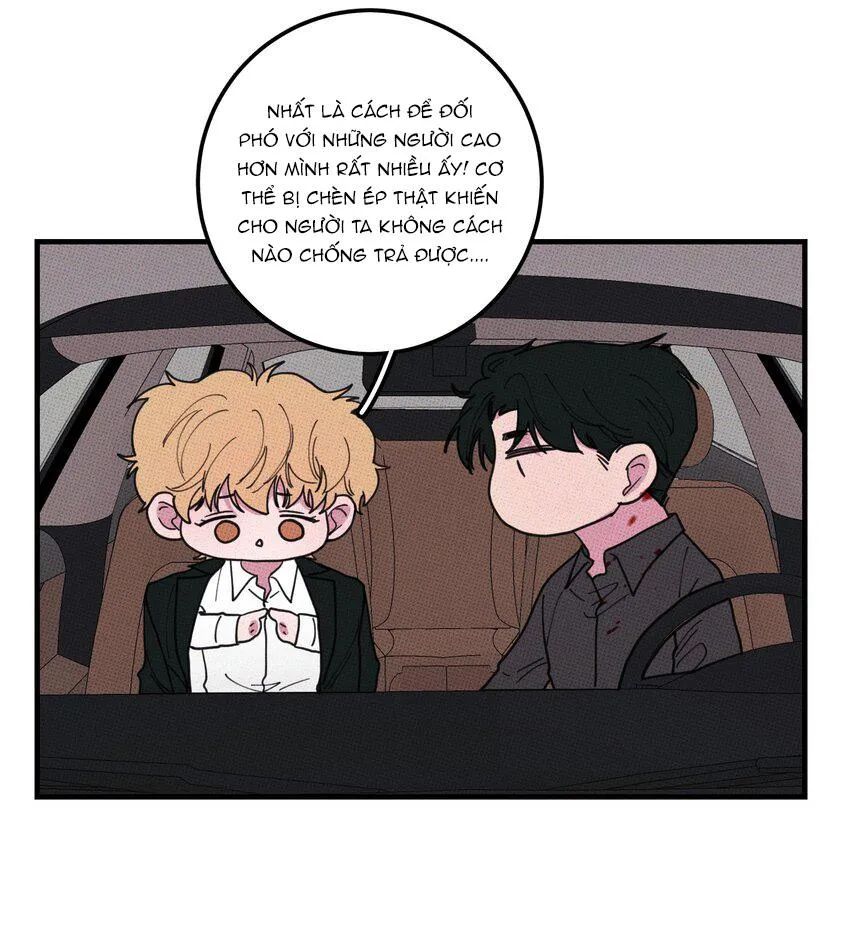 Hộp Bánh Quy Định Mệnh (END) Chapter 47 Trang 31