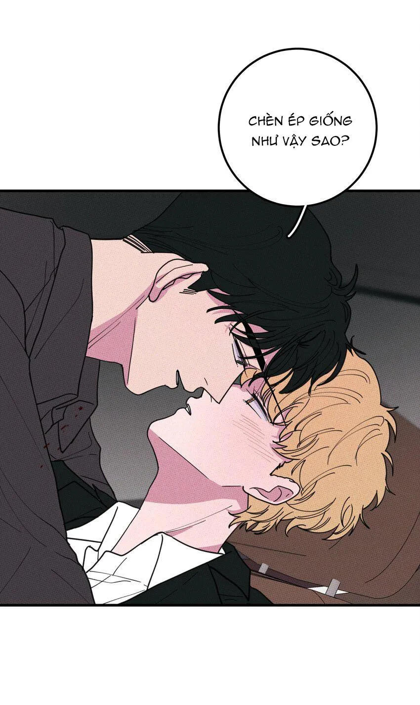 Hộp Bánh Quy Định Mệnh (END) Chapter 47 Trang 34