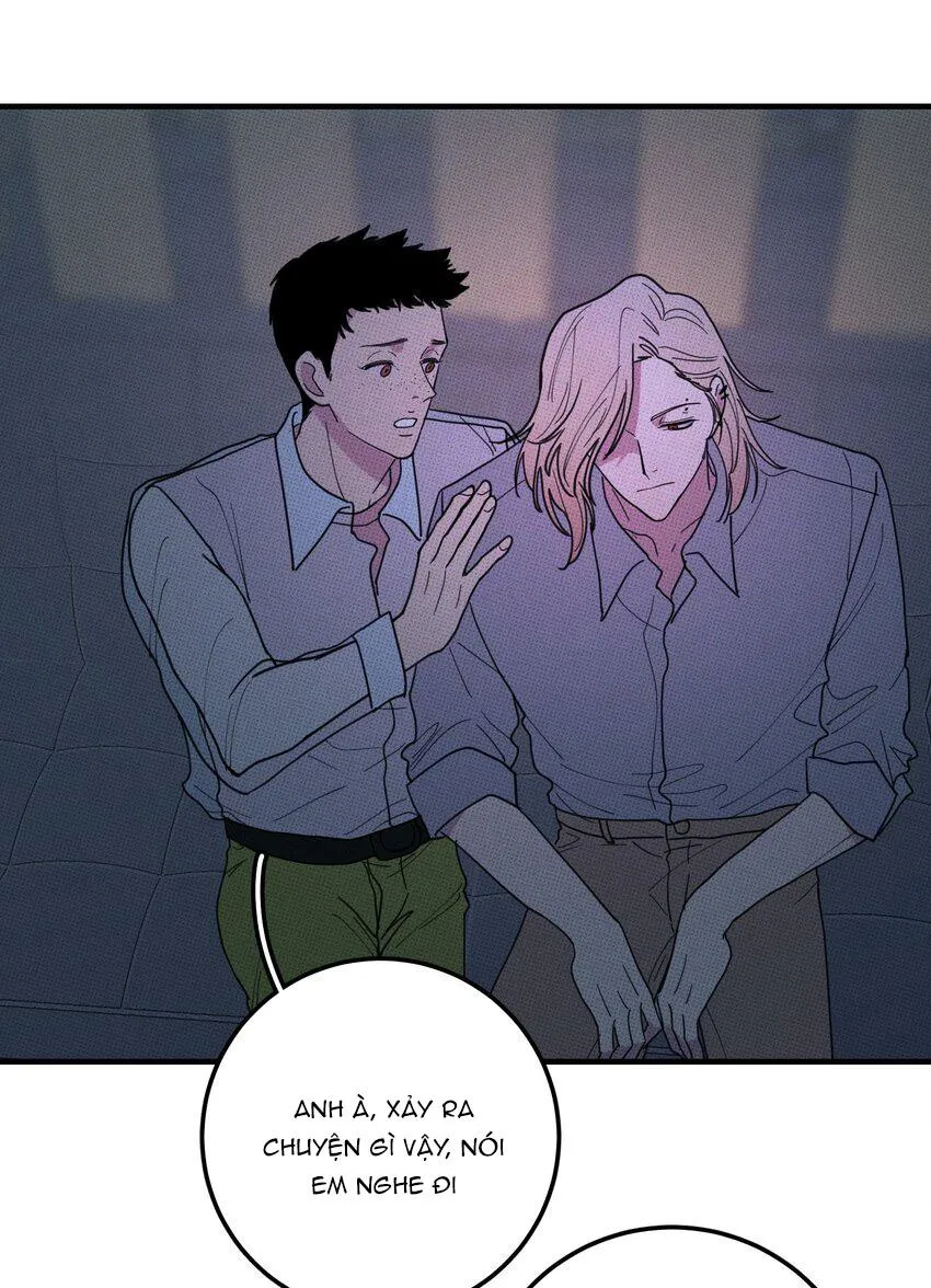 Hộp Bánh Quy Định Mệnh (END) Chapter 47 Trang 42