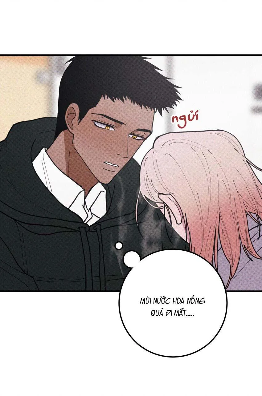 Hộp Bánh Quy Định Mệnh (END) Chapter 48 Trang 10