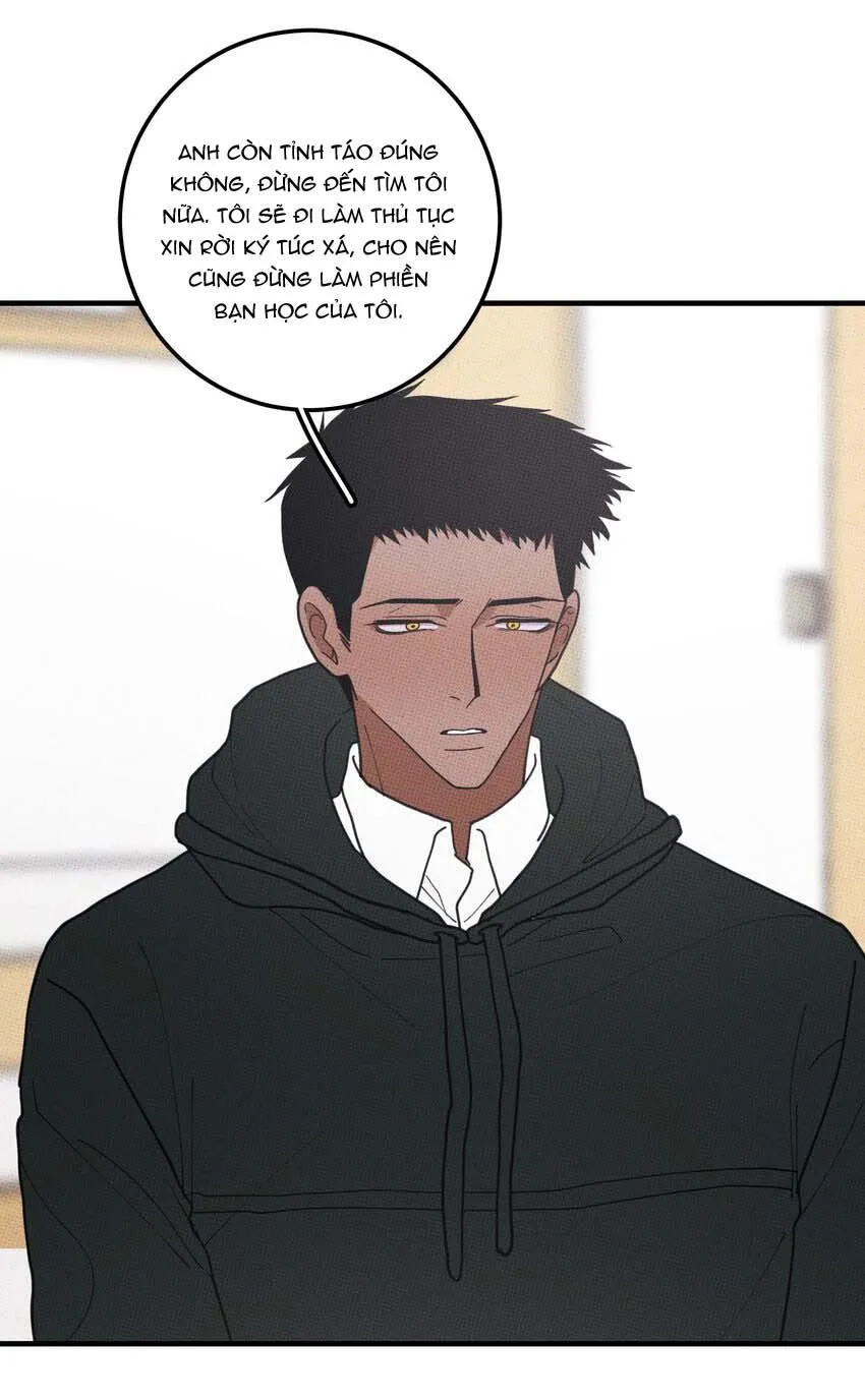 Hộp Bánh Quy Định Mệnh (END) Chapter 48 Trang 12