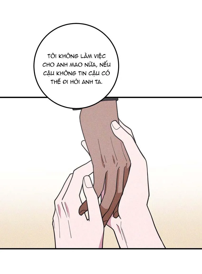 Hộp Bánh Quy Định Mệnh (END) Chapter 48 Trang 18