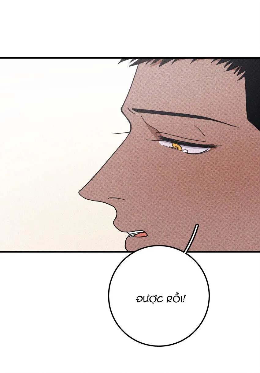 Hộp Bánh Quy Định Mệnh (END) Chapter 48 Trang 28