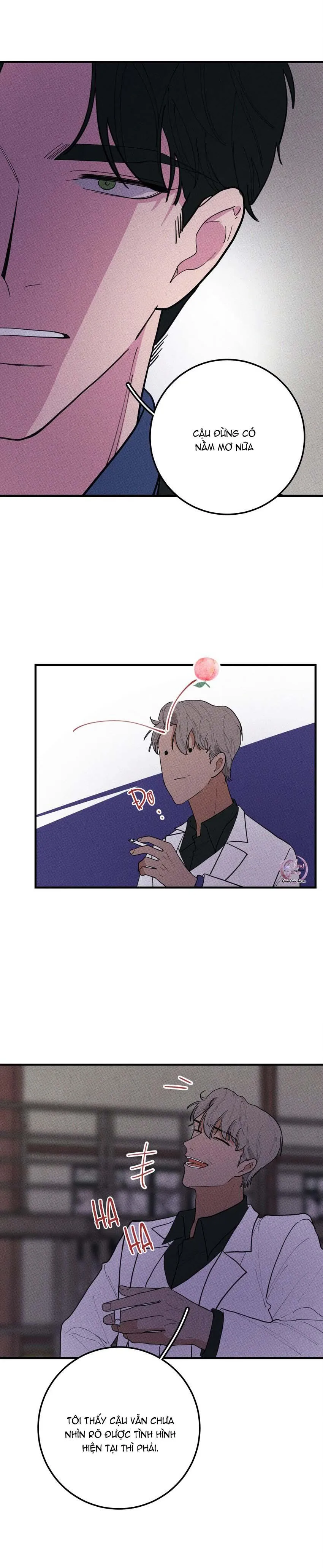 Hộp Bánh Quy Định Mệnh (END) Chapter 49 Trang 4