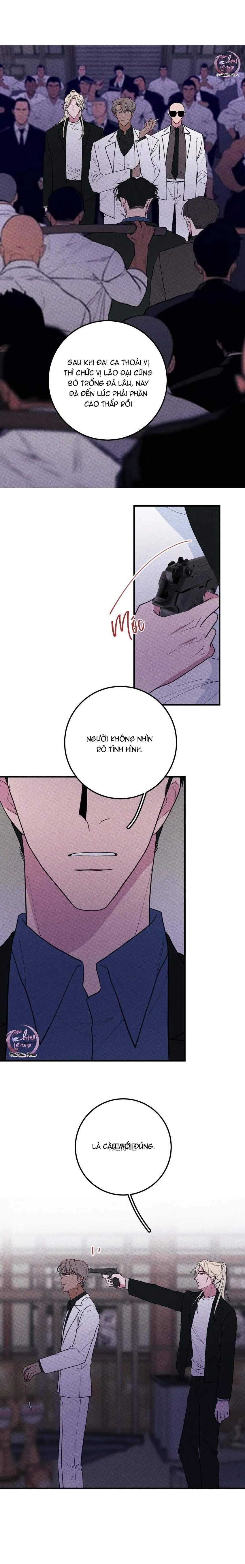 Hộp Bánh Quy Định Mệnh (END) Chapter 49 Trang 5