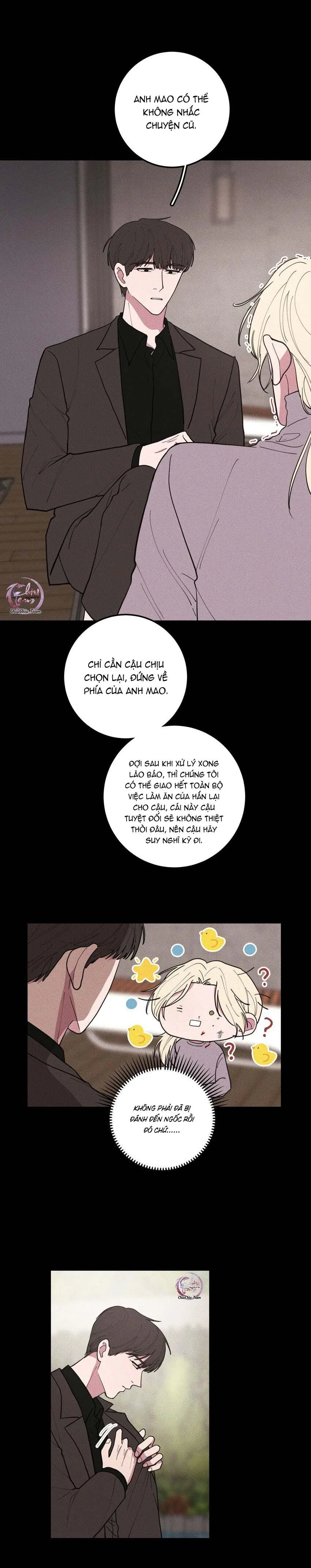 Hộp Bánh Quy Định Mệnh (END) Chapter 49 Trang 8