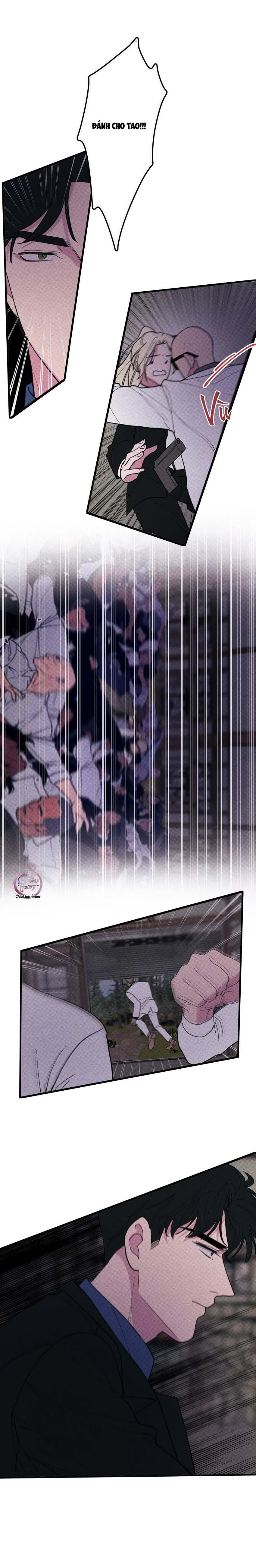 Hộp Bánh Quy Định Mệnh (END) Chapter 49 Trang 10