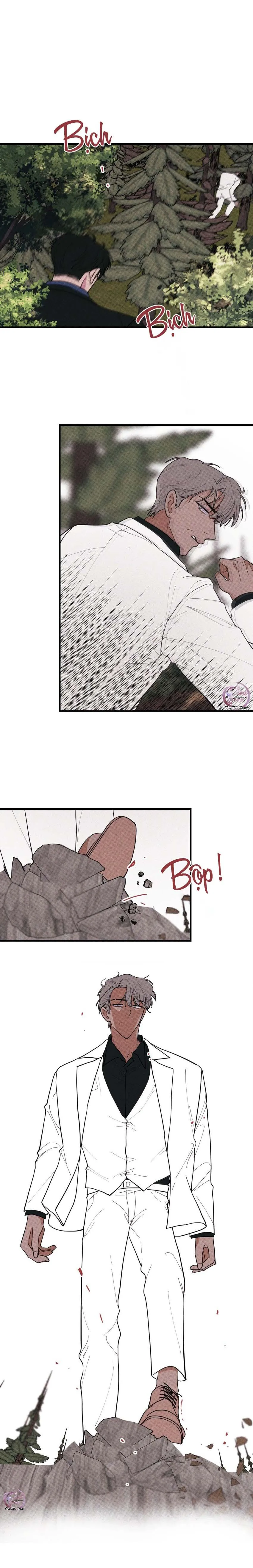 Hộp Bánh Quy Định Mệnh (END) Chapter 49 Trang 11