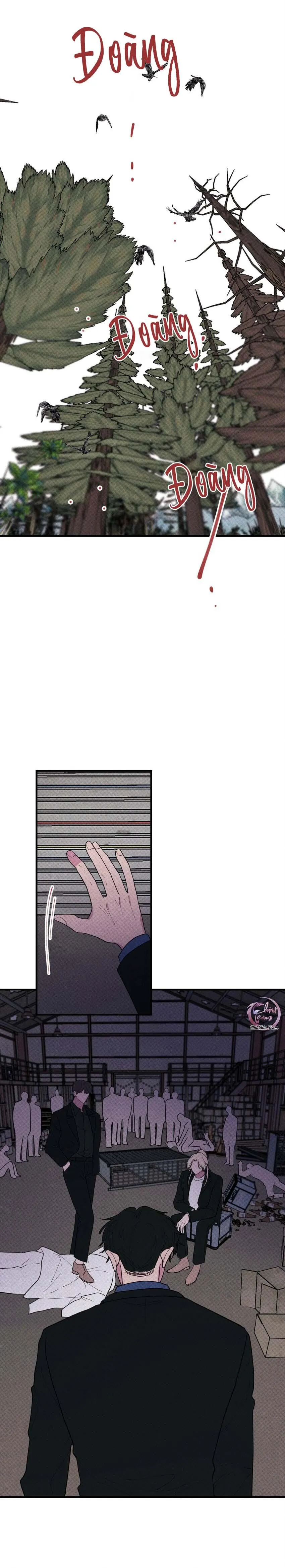 Hộp Bánh Quy Định Mệnh (END) Chapter 49 Trang 13