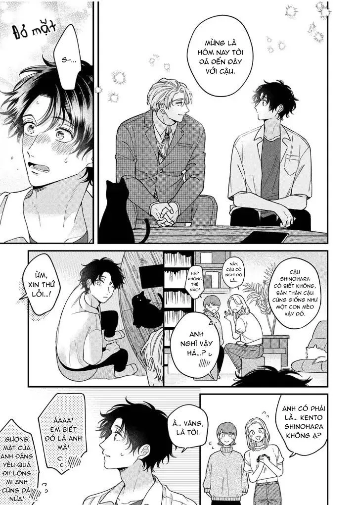 [END] Hướng Dẫn Bị Cấm Của Tổng Biên Tập Tàn Bạo Chapter 3 Trang 13