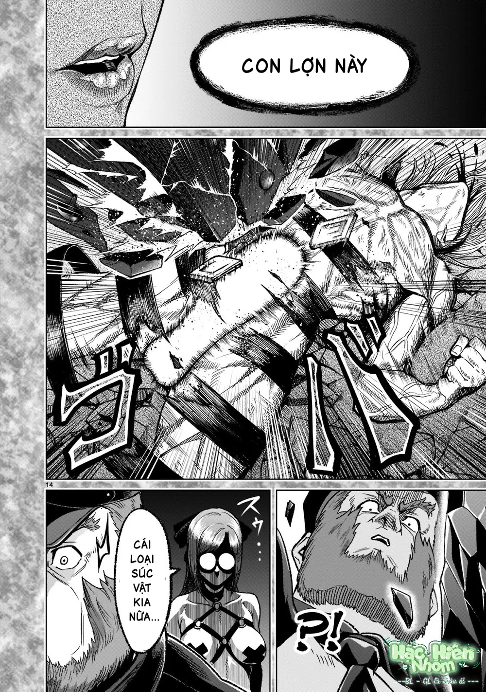 Ký Sự Rosengarten Chapter 33 Trang 14