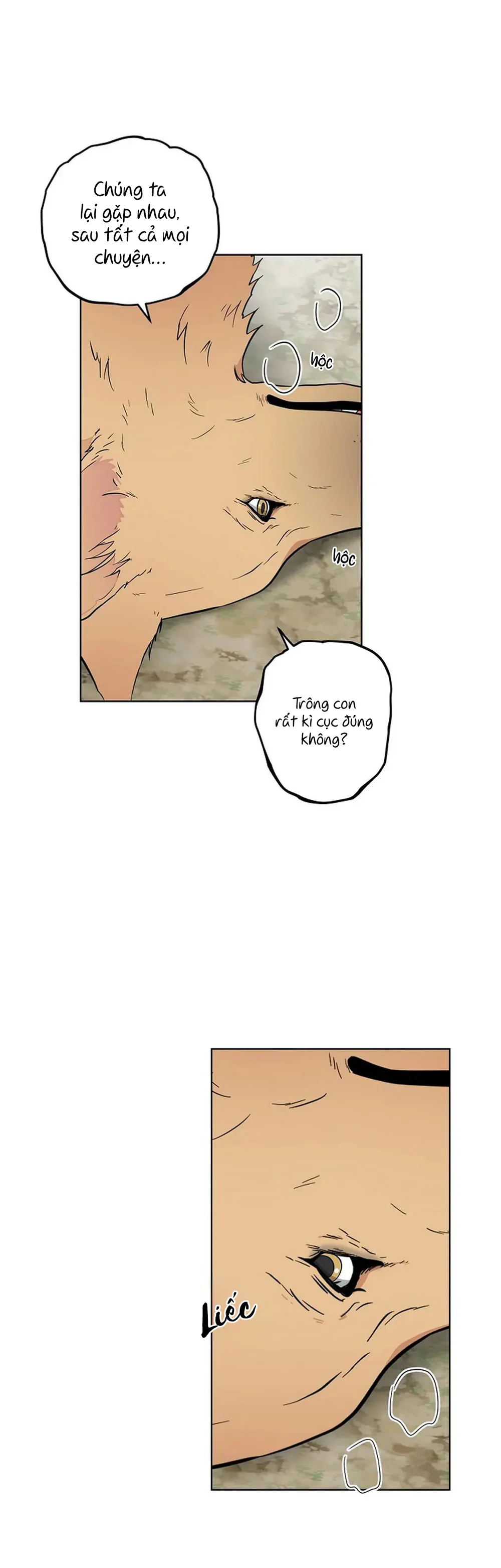 Kẻ Trộm Hồ Tiên Chapter 56 Trang 9