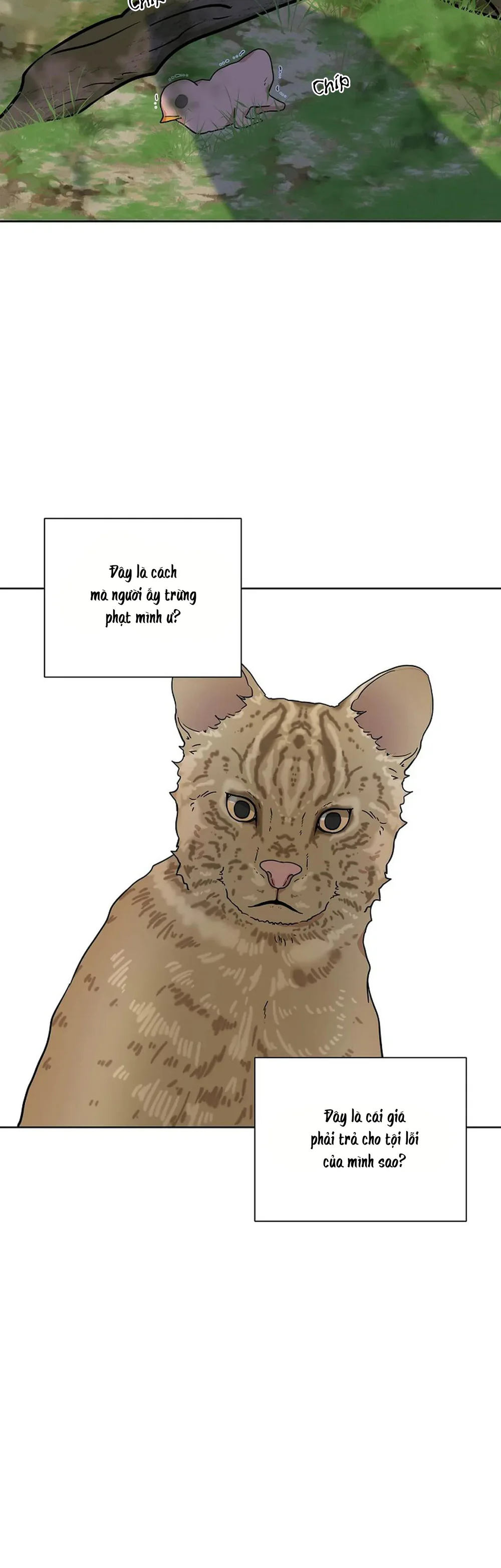 Kẻ Trộm Hồ Tiên Chapter 56 Trang 19