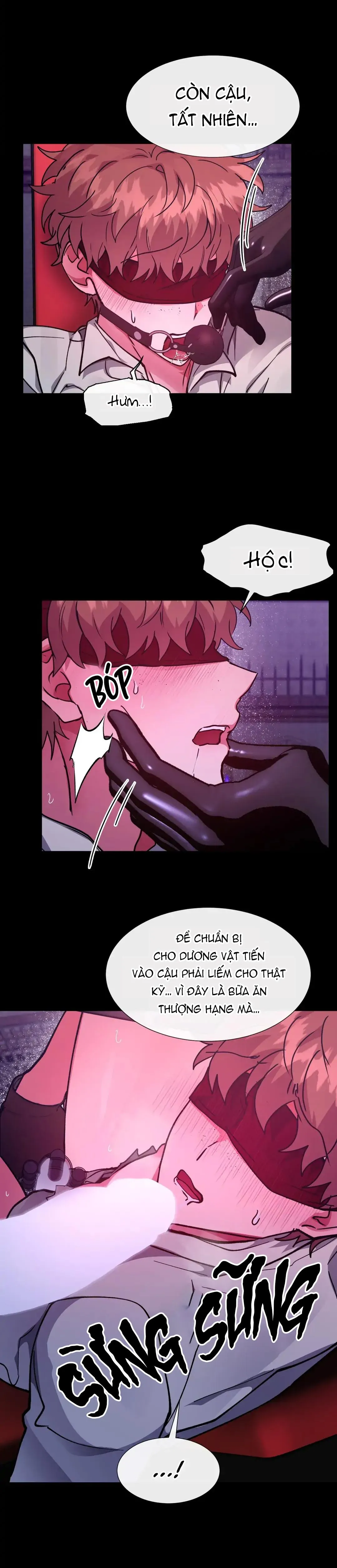 [HOÀN] Lâu Đài Tình Dục Chapter 23 Trang 10