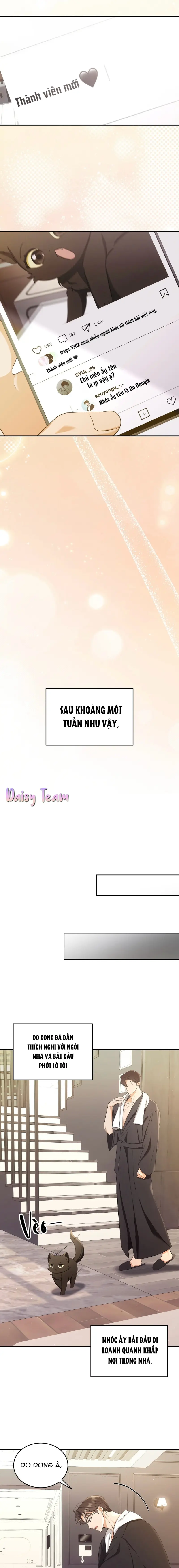 LIỆU PHÁP MÈO Chapter 2 Trang 5