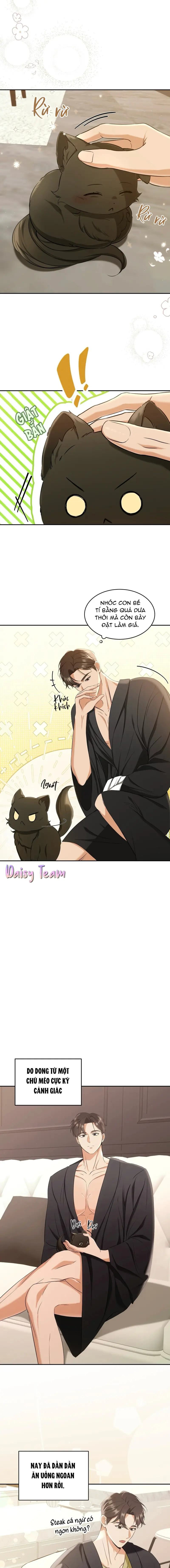 LIỆU PHÁP MÈO Chapter 2 Trang 7