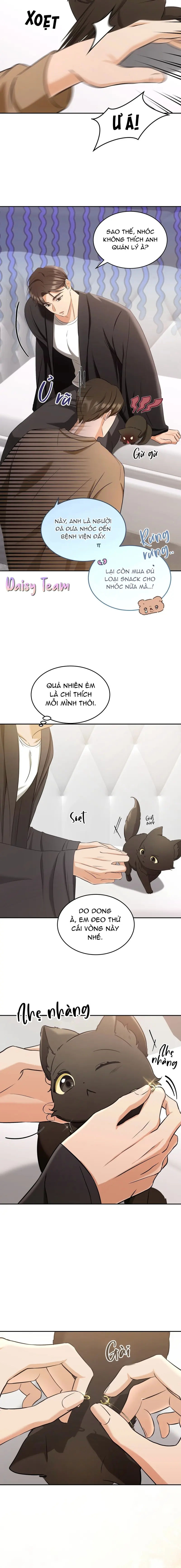 LIỆU PHÁP MÈO Chapter 2 Trang 10