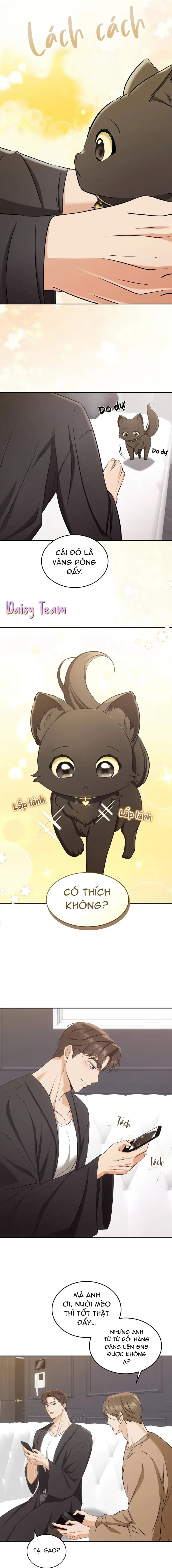 LIỆU PHÁP MÈO Chapter 2 Trang 11