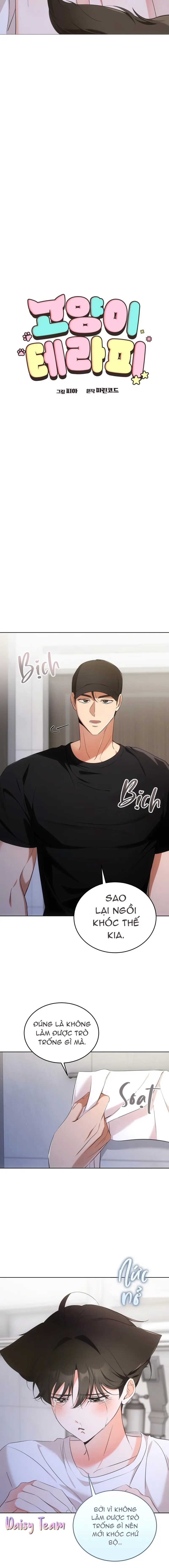 LIỆU PHÁP MÈO Chapter 6 Trang 4
