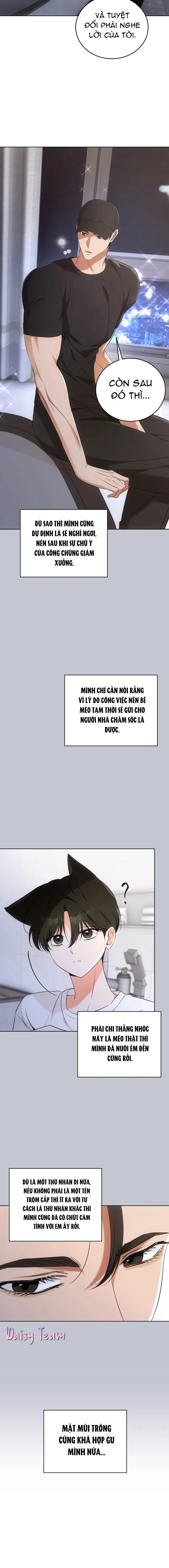 LIỆU PHÁP MÈO Chapter 6 Trang 6