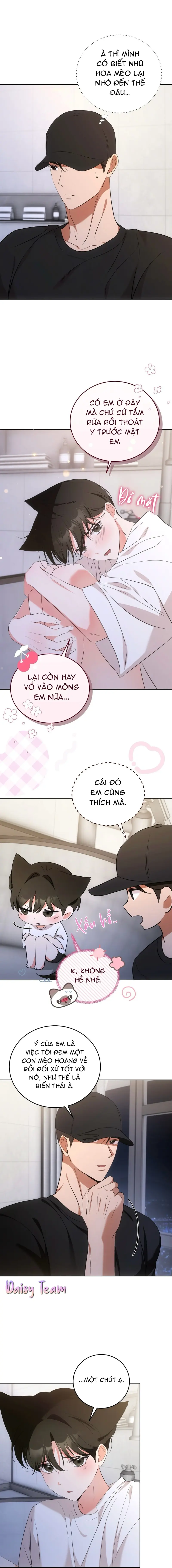 LIỆU PHÁP MÈO Chapter 6 Trang 9