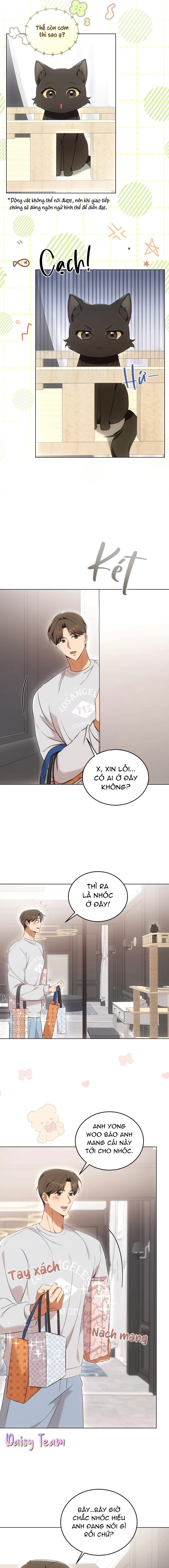 LIỆU PHÁP MÈO Chapter 8 Trang 5