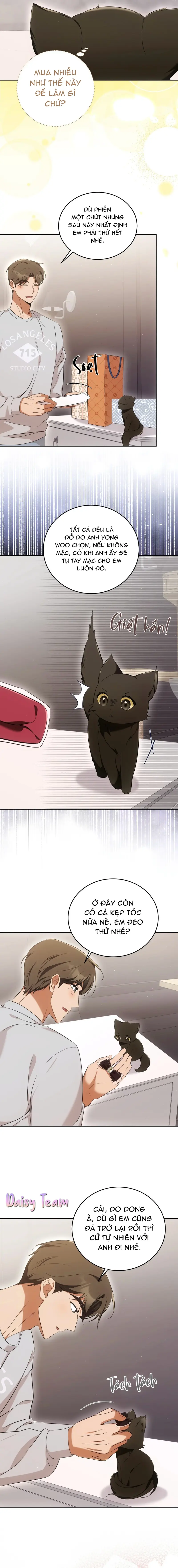 LIỆU PHÁP MÈO Chapter 8 Trang 8