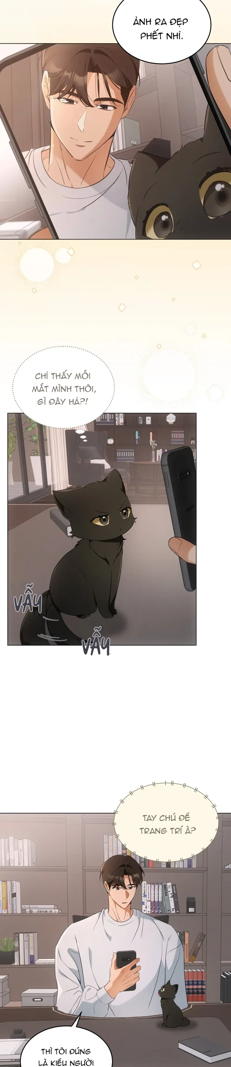 LIỆU PHÁP MÈO Chapter 10 Trang 7