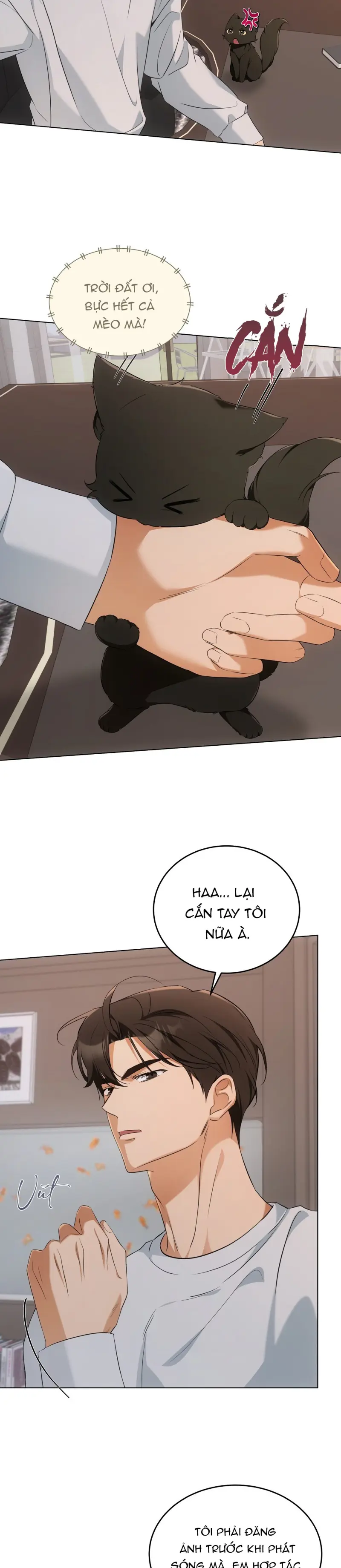 LIỆU PHÁP MÈO Chapter 10 Trang 9