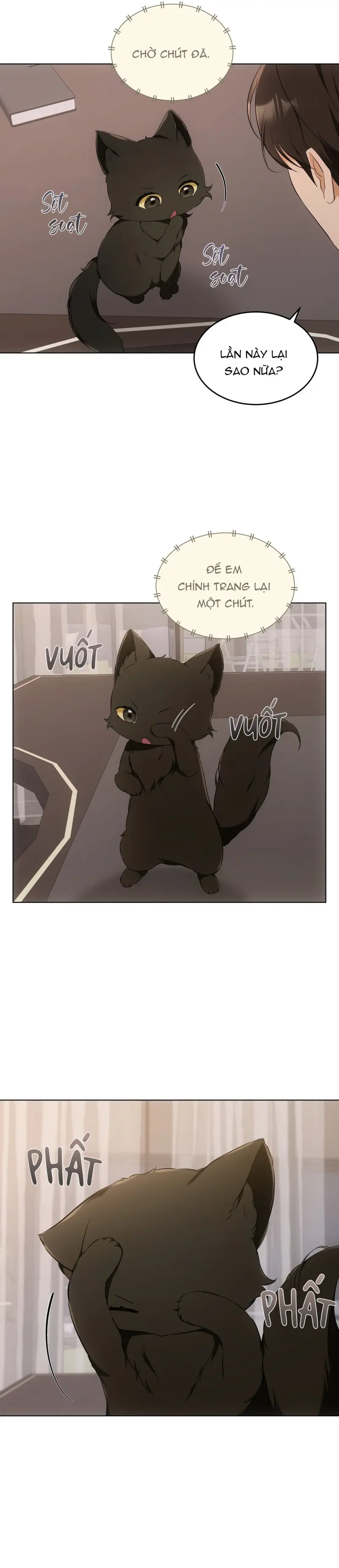 LIỆU PHÁP MÈO Chapter 10 Trang 11