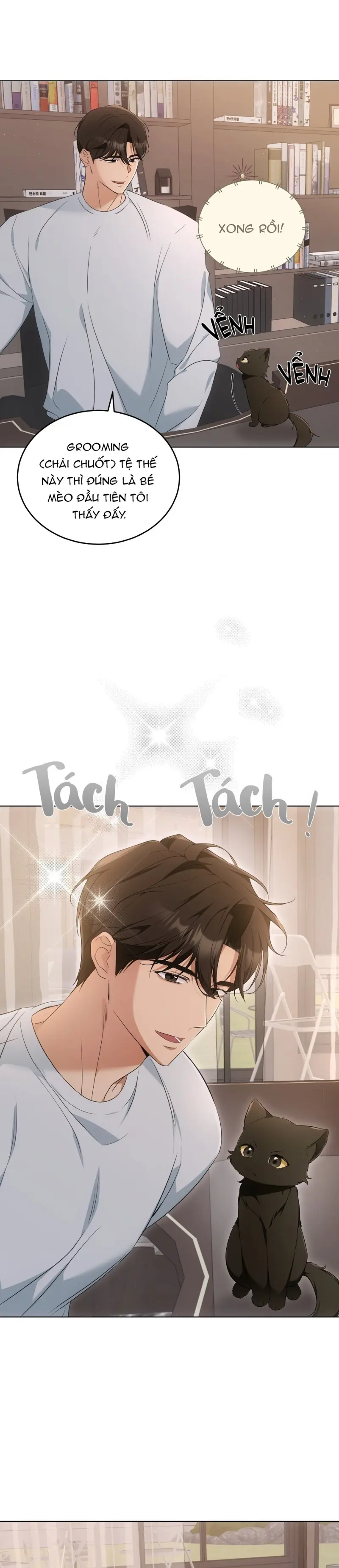 LIỆU PHÁP MÈO Chapter 10 Trang 12