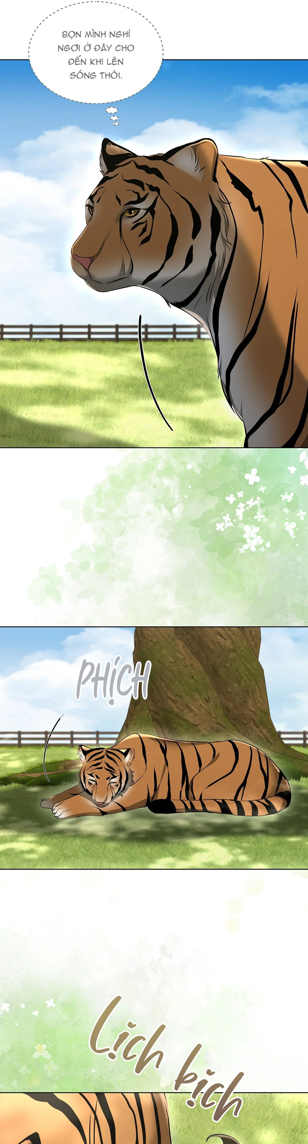 LIỆU PHÁP MÈO Chapter 12 Trang 16