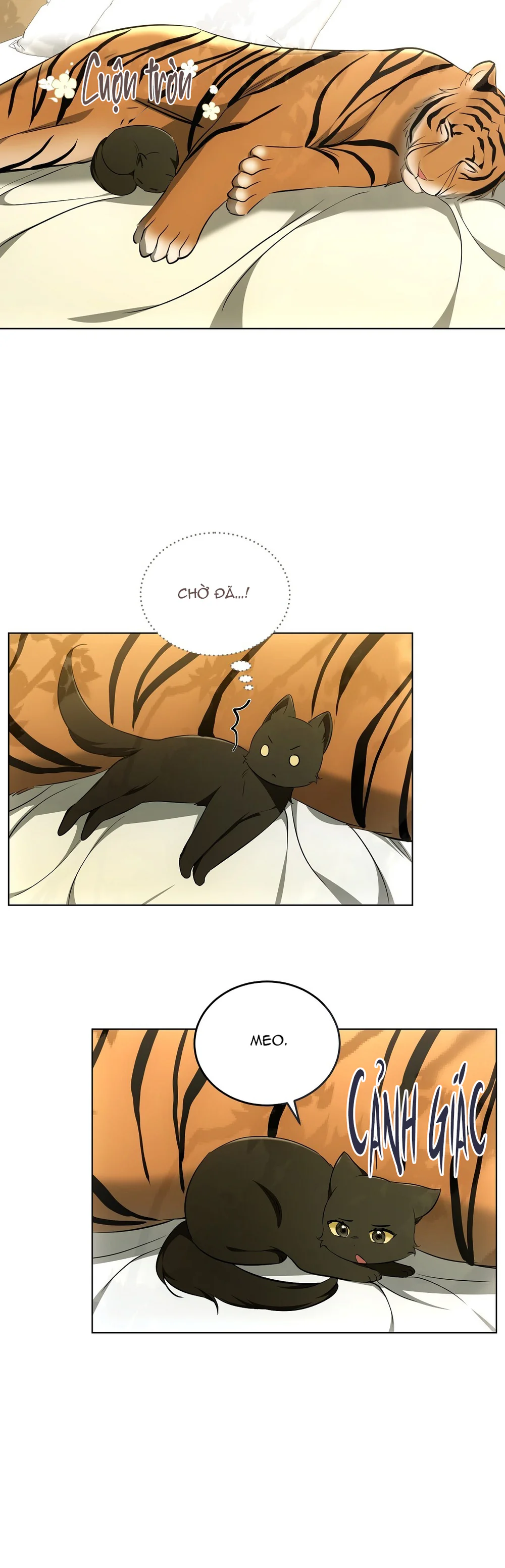 LIỆU PHÁP MÈO Chapter 12 Trang 25