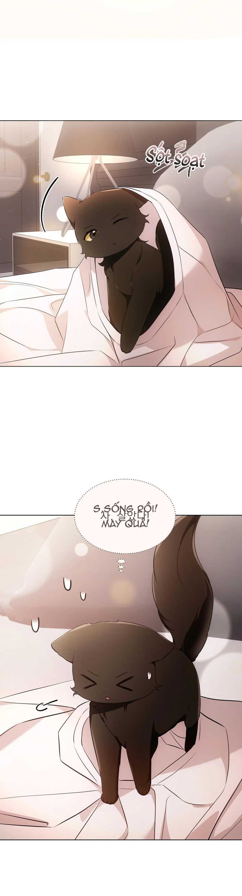 LIỆU PHÁP MÈO Chapter 18 Trang 19