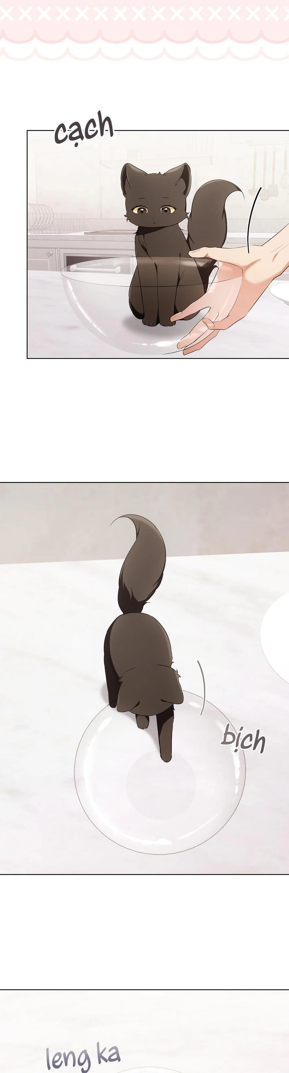 LIỆU PHÁP MÈO Chapter 19 Trang 5